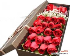 揭秘红玫瑰的隐藏花语，传递深情的绝佳选择 十九朵红玫瑰花语的神秘之谜