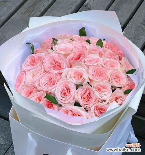 以花言巧语诠释十九朵粉玫瑰的浪漫情愫 十九朵粉玫瑰的寓意与象征意义