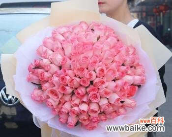 探寻十一朵粉玫瑰的神秘象征 十一朵粉玫瑰所代表的含义
