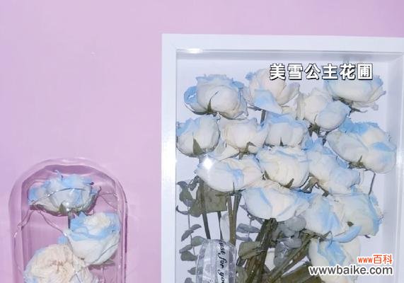 哪种花语代表工作顺利？工作顺利的花语有哪些？