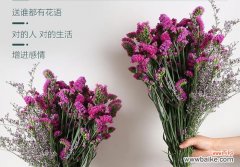 姐妹之间花语有何特别含义？如何增进感情？