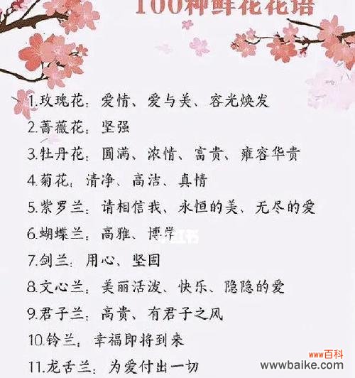 花篮中的鲜花有哪些花语？它们各自代表什么？