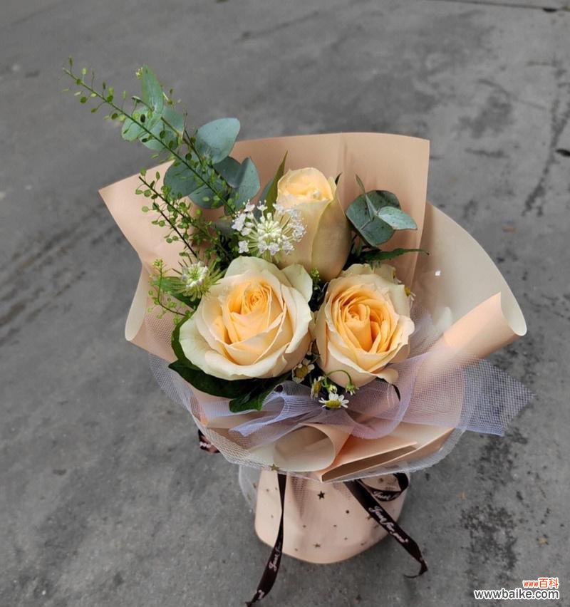 玫瑰蜜桃雪的花语有何含义？它在花语中代表了什么？