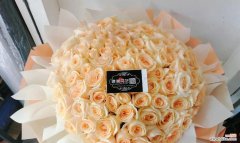 送老公的香槟玫瑰花语是什么？香槟玫瑰花代表什么含义？