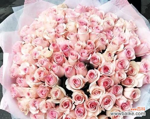 探索粉色玫瑰花的深层意义，了解其代表的爱情与情感 十一朵粉色玫瑰花的寓意与象征