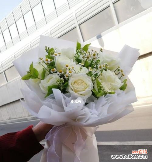 探寻十一朵玫瑰的深层寓意 十一朵玫瑰的意义与象征