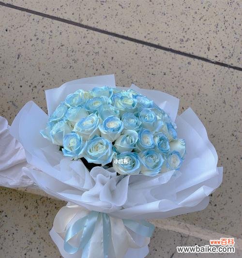 探寻碎冰蓝的美丽与意义 碎冰蓝,花开无声