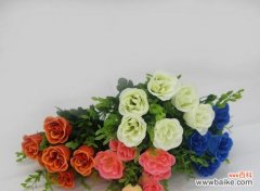 探索玫瑰花背后的深层含义 十一朵玫瑰花的象征意义