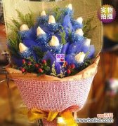 揭秘花语中的深意与情感 十一朵玫瑰的含义与象征