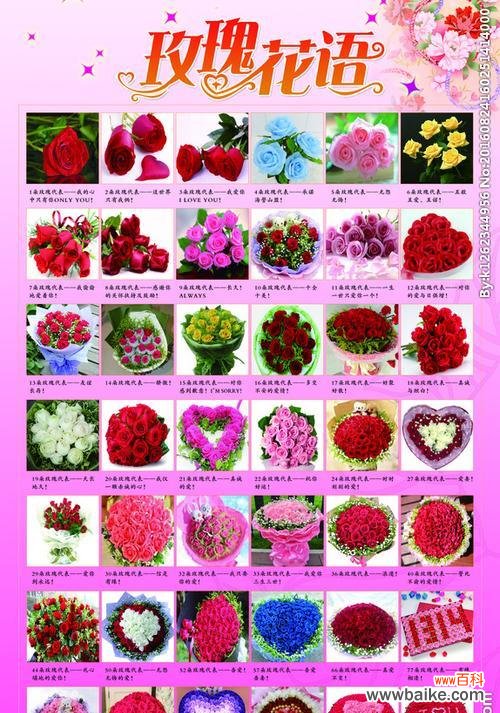 十种常见花名的花语分别是什么?