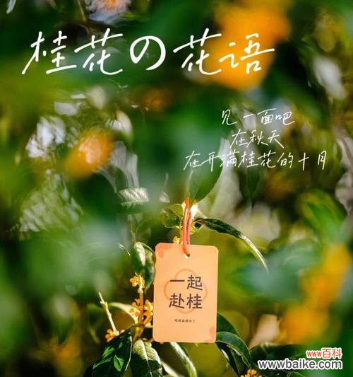 哪种花语象征抑郁症?如何用花语表达忧郁?