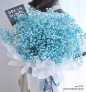 探寻满天星花语的深意 满天星花语的寓意及传达的信息