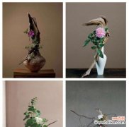 简单插花与花语的区别是什么？插花艺术与花语有何不同？