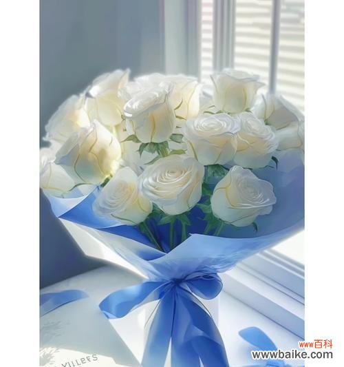 女朋友送的白玫瑰花语是什么？白玫瑰在爱情中代表什么？