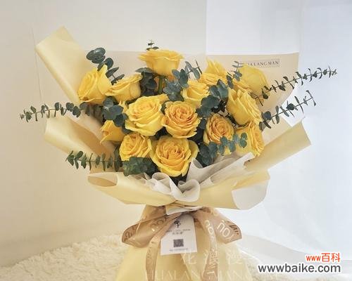 送过玫瑰花之后再送什么花比较好？有哪些花语适合表达不同情感？