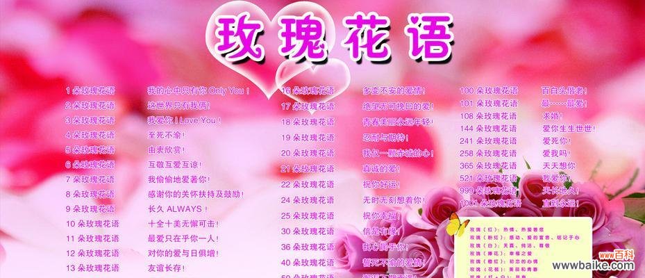 16朵玫瑰花的花语代表了什么意义?