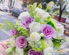 16朵玫瑰花的花语代表了什么意义？