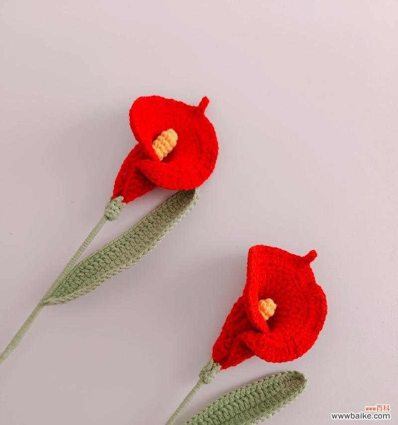 三朵马蹄莲通常表达什么花语?