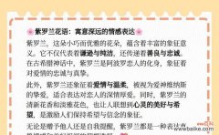 紫罗兰作为礼物的花语含义？