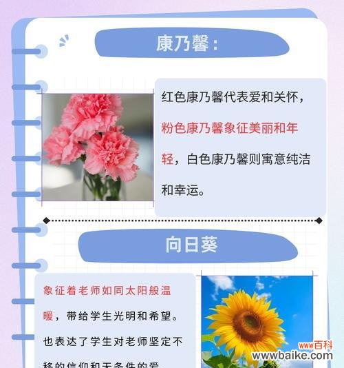 康乃馨作为礼物的花语意义是什么？