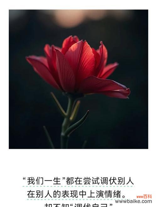 “唯你懂我心”花语代表什么?