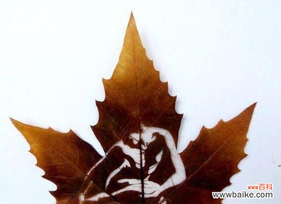 “唯你懂我心”花语代表什么?