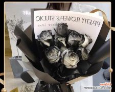 骑士玫瑰花语有何特殊含义？适合哪种场合？