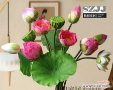 十四只花的花语代表什么？