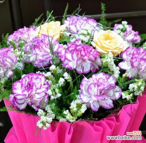 小李老师送的花代表了什么？