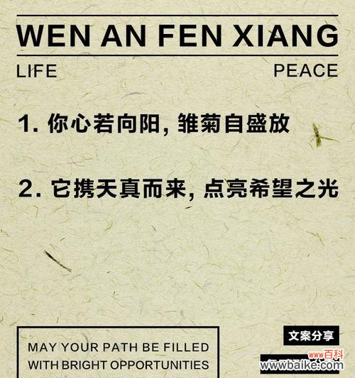 小雏菊代表了什么？小雏菊的花语有哪些？