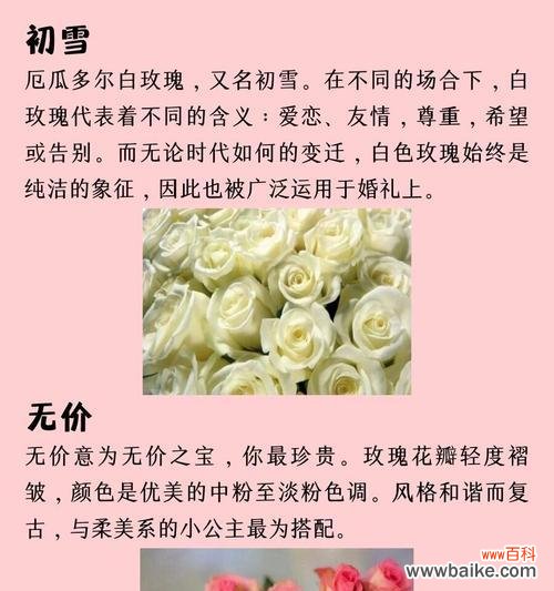有哪些花的花语是不建议送给爱人的?它们代表了什么?