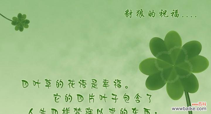 四叶草象征着什么?揭秘四叶草的爱情寓意 四叶草的爱情寓意——幸运与永恒的爱