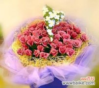 承诺 情人草的花语——爱的承诺