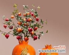 以什么盆栽植物寓意多子多福 多子多福的盆栽植物——幸福之花