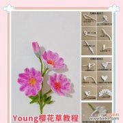 樱花的浪漫花语具体指什么？