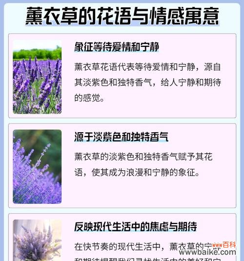 事业祝福的花语是什么?如何通过花语表达对事业的祝福?