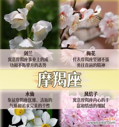 巨蟹座命运花语代表什么？巨蟹座与花语有何关联？