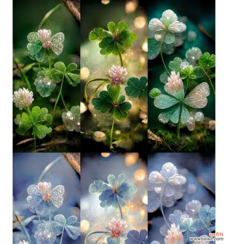 探索幸运的钥匙-四叶草的秘密 四叶草的寓意与象征意义