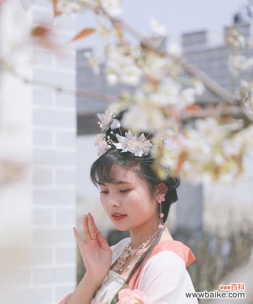 梨花语吉祥物代表了什么?