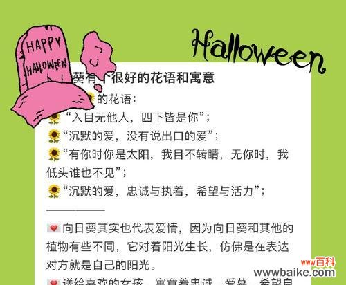 向日葵朋友的花语有何含义?向日葵象征什么?