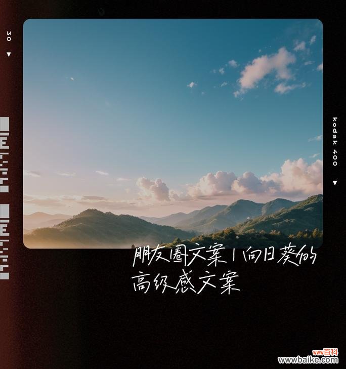 向日葵朋友的花语有何含义?向日葵象征什么?