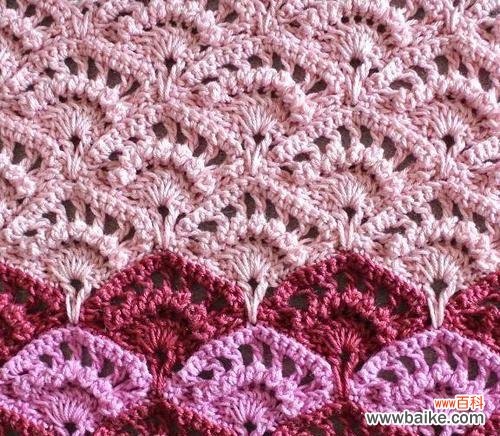 扇贝花的寓意是什么?扇贝花的花语有哪些?