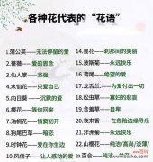 恶运花语在网络用语中具体指什么？