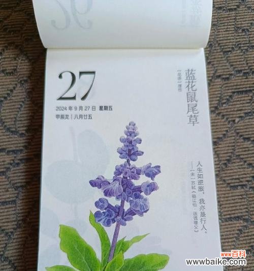 恶运花语在网络用语中具体指什么?