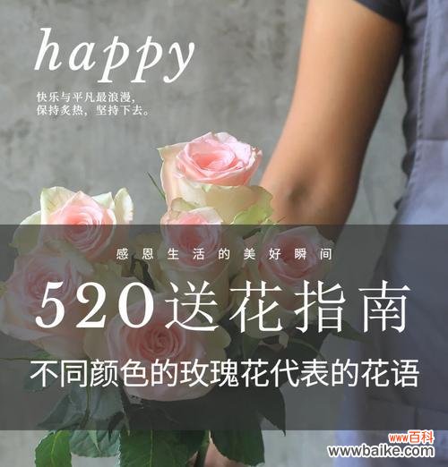 六朵玫瑰在情人节的花语是什么?送六朵玫瑰有何深意?