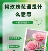 我想听你的花语代表了什么情感？