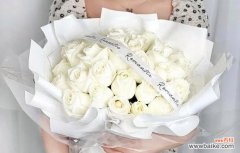 探寻白玫瑰的意义与传达的情感 白玫瑰的含义及象征