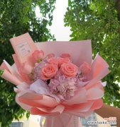 揭示送粉色玫瑰的真正含义 粉色玫瑰的象征意义及深远影响