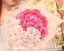 揭示粉色玫瑰的浪漫、温馨与欢乐 粉色玫瑰的代表意义