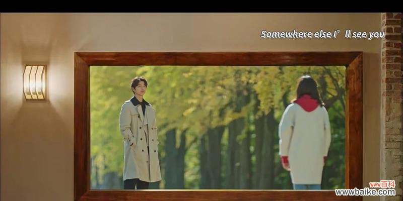 诅咒恋人的花语有何含义?